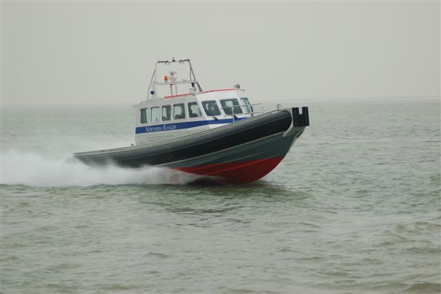 Kopie (2) van northern diver 27-12-06 (3)